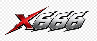 x666